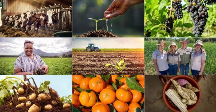 #BestofBiz 2021: Agriculture