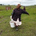 Women carry water buckets for kilometres, while water workers go unpaid