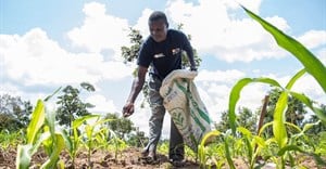Picture-based insurance cushion Kenyan smallholder farmers from climate change