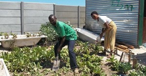 Khayelitsha couple turns dumpsite into community garden