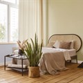 Plascon reveals its Colour Combination of the year for 2022