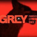 Grey celebrates a year of success like no other