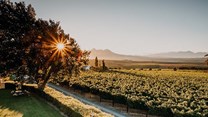 Why a winelands visit is a must this summer