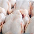FairPlay welcomes provisional anti-dumping duties on chicken imports
