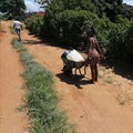 Elim in Limpopo has been without water for more than a year