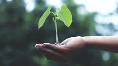 SA needs to work towards sustainable social protection measures - Presidency