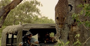 Dereck and Beverly Joubert filming Living with Big Cats