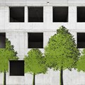 Green buildings can boost productivity, wellbeing and health of workers