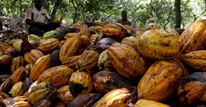 Ivory Coast tests new cocoa traceability system to fight deforestation
