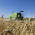 Africa could be hit hard by loss of Ukrainian grain exports