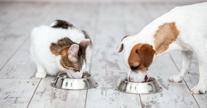 Libstar eyes pet, health food acquisitions for growth