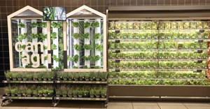 Pick n Pay spruces up fresh produce retail with in-store vertical farms