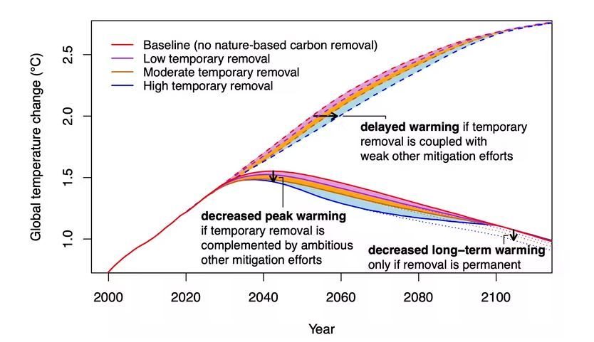 Climate effect of temporary nature-based carbon removal. (Authors)