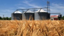 Agri companies withdrawing from Russia