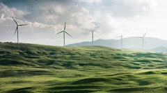 Why businesses should prioritise sustainability