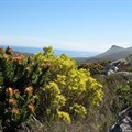 Cape Town residents can visit any nature reserve for free this Friday