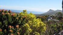 Cape Town residents can visit any nature reserve for free this Friday