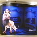 JCDecaux South Africa launches DOOH 3D anamorphic experience