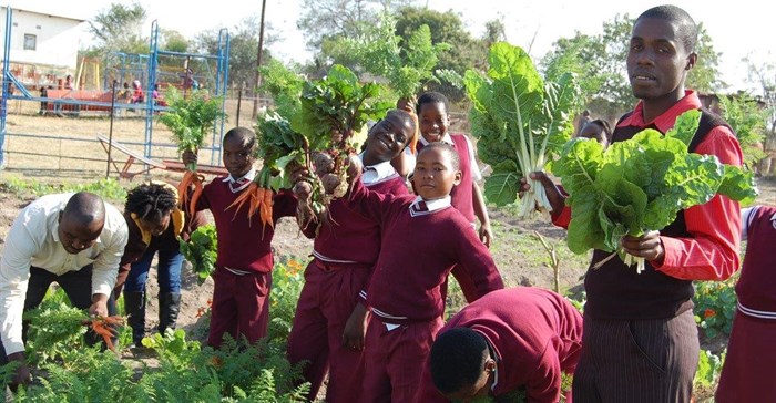 Supplied. Starbucks will choose a school in Johannesburg to pilot a community vegetable garden programme by providing free Starbucks Vegetable Seed Kits and a supply of used coffee grounds