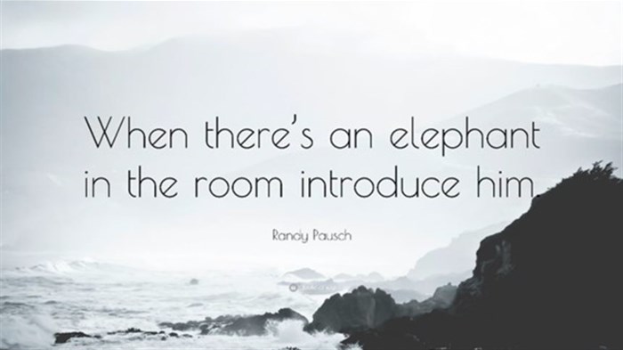 Plagiarism - do we have an elephant in the room?