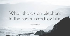 Plagiarism - do we have an elephant in the room?