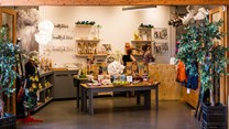 Design Lab retail readiness programme calls for applications