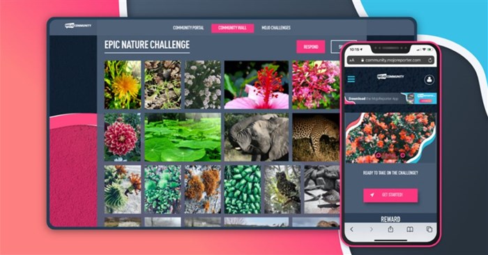 Mojo Community: MojoReporter launches challenge platform for digital content creators