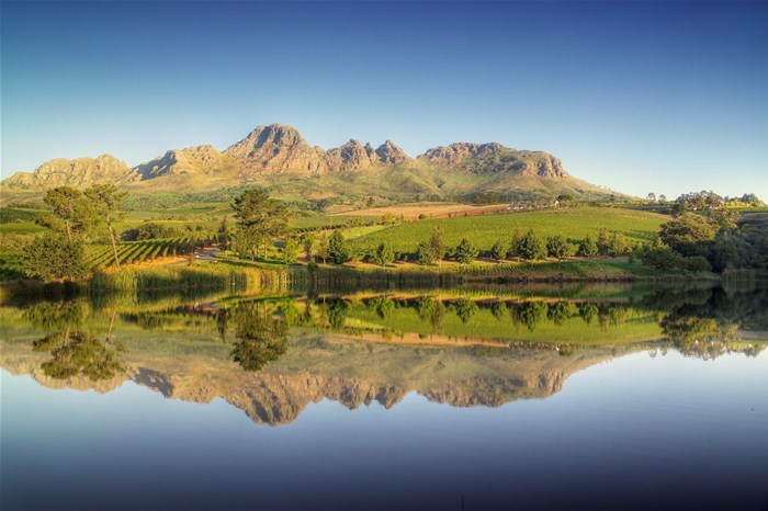 Image supplied: Wine Town Stellenbosch includes wines from farms around the area