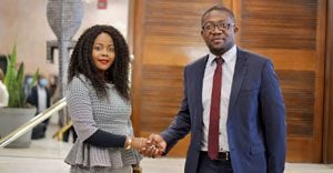 Zimbabwe tourism minister appoints APO Group's Beatrice Tonhodzayi to the board of the Zimbabwe Tourism Authority