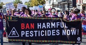 Are South Africa's pesticide rules outdated?