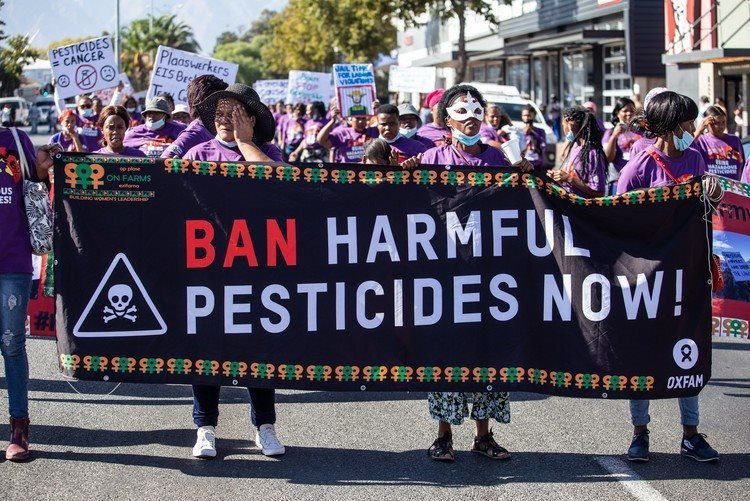 Source:  | Members of the Women On Farms Project marched in Worcester on 5 May 2022 demanding an urgent ban on 67 pesticides. Archive photo: Ashraf Hendricks