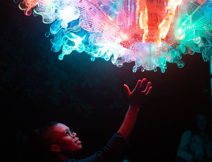 Image supplied: Petrified Blaukind and the renderheads at Spier Light Art 2022