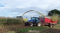 Environmentally sustainable silage practices now critical to agriculture