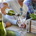 SA wine tourism industry encouraged by growth of visitors to the Cape