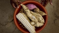 Food security 'experts' don't have all the answers: Community knowledge is key