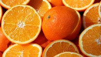 Government lodges WTO dispute to address EU measures affecting citrus imports from SA