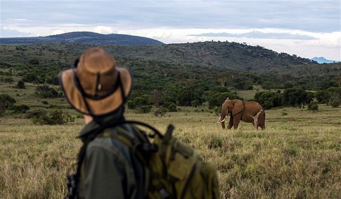 World Ranger Day: What it means to be a game ranger in 2022