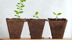 How to use e-learning in leadership development