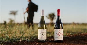 Image supplied: Rhino Tears wines have raised just short of R3m in donations to be used in anti-poaching efforts