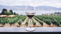 Winetech Vinpro regional days to share wise farming tips