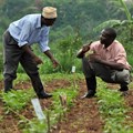 Farming and fertilisers: How ecological practices can make a difference