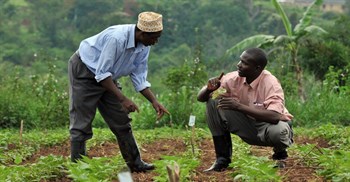 Farming and fertilisers: How ecological practices can make a difference