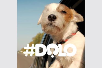 #DOLO: Dogs only live once, so make it last!