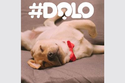 #DOLO: Dogs only live once, so make it last!