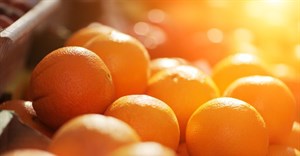 SA halts orange exports to EU to mitigate CBS risk
