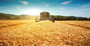 Can Ukraine's grain deal ease the global food crisis?