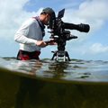 National Geographic channels reveal summer/spring 2022 content slate