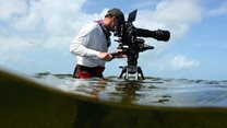 National Geographic channels reveal summer/spring 2022 content slate
