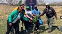 Heineken South Africa celebrates Arbour Month this September