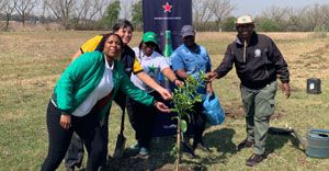 Heineken South Africa celebrates Arbour Month this September